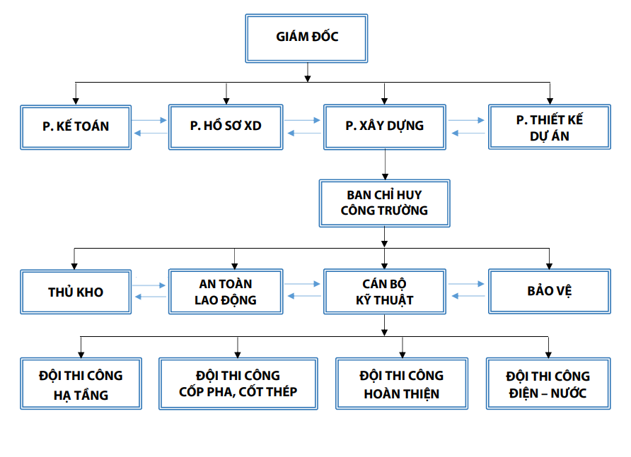 Cơ cấu tổ chức